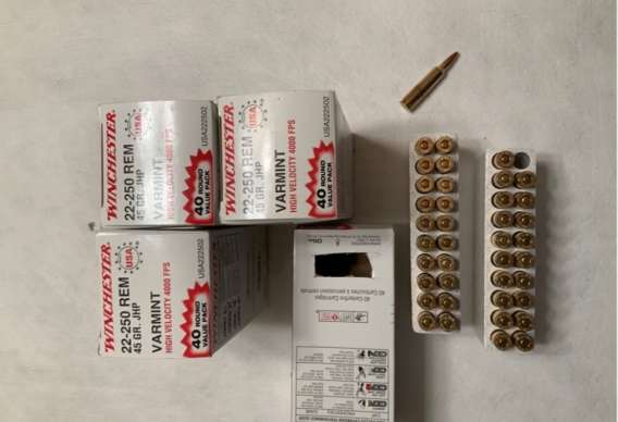 Winchester 22-250 45 gr Jhp 160 rounds